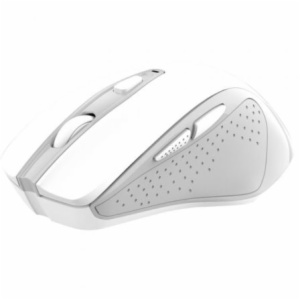 RATON TRUST 25550 NITO SILENT